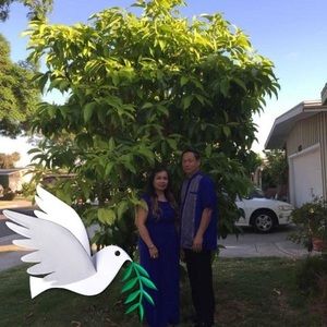 Meet your Posher, Heng